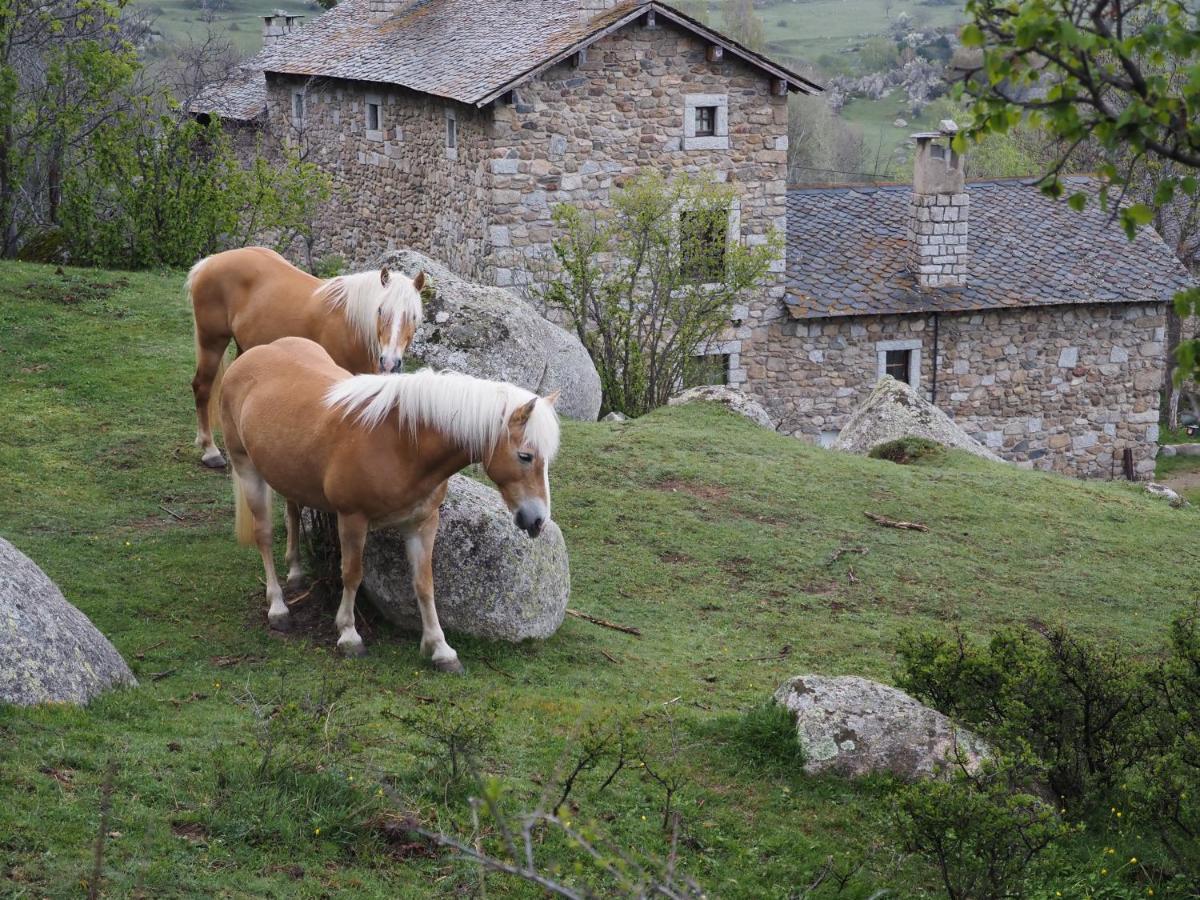 Ferme Can Llull Enveitg Buitenkant foto