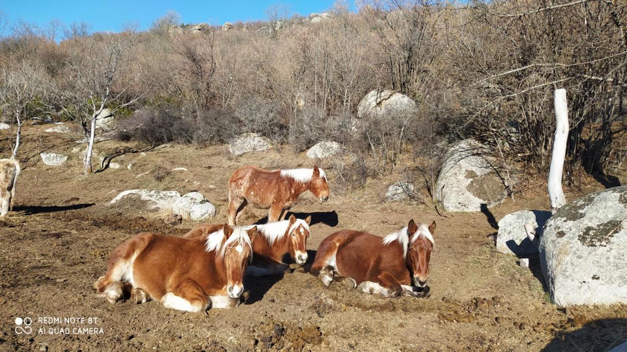 Ferme Can Llull Enveitg Buitenkant foto