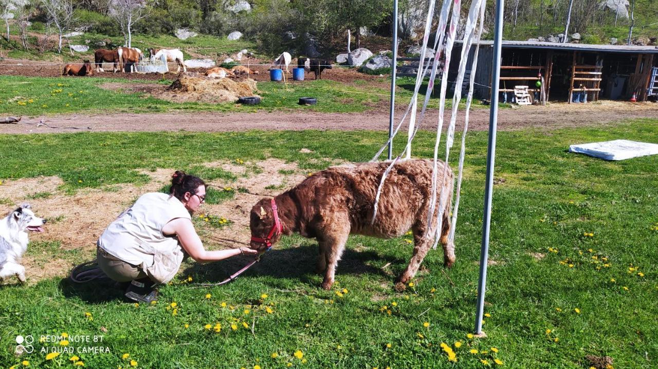 Ferme Can Llull Enveitg Buitenkant foto